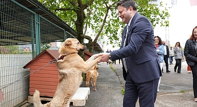 Kadıköy Belediyesi Geçici Hayvan Bakımevi Yenilendi