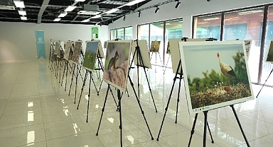 Bu fotoğraf sergisi Ormanya’da görsel şölen sunuyor