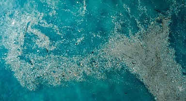 Doğayla Uyumlu Yaşamalıyız: Plastik Kirliliğine Son Ver, Yaşamı Koru!