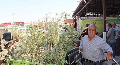 Büyükşehir’den 19 ilçeye 40 bin zeytin fidanı desteği