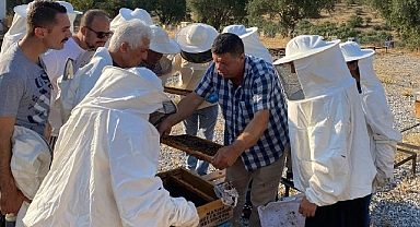 Büyükşehir’den Arıcılara Uygulamalı Eğitim Desteği
