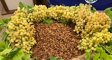 Kuru meyve sektöründe 12 ihracat şampiyonunun 11’i Egeli