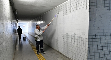 Çiğli’de sonbahar bakımı: Ağaçlar budanıyor, kent güzelleşiyor
